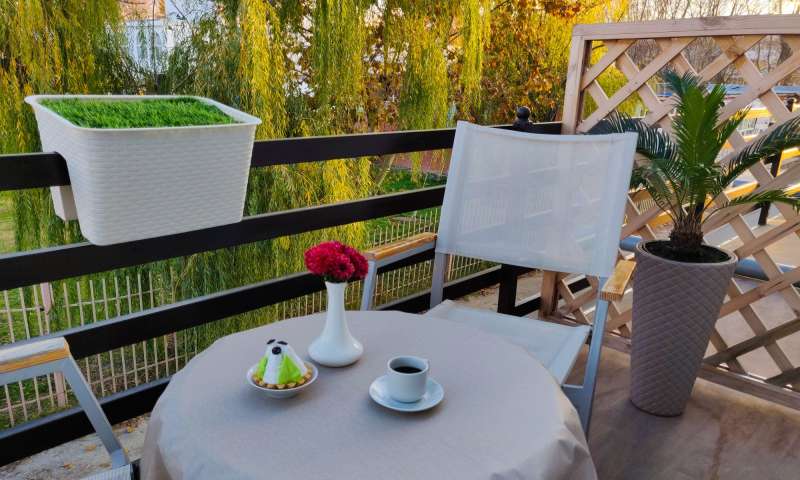 Забронировать отдых в Анапе