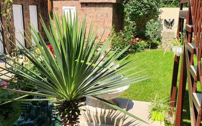 Витязево номера с кухней на Комарова